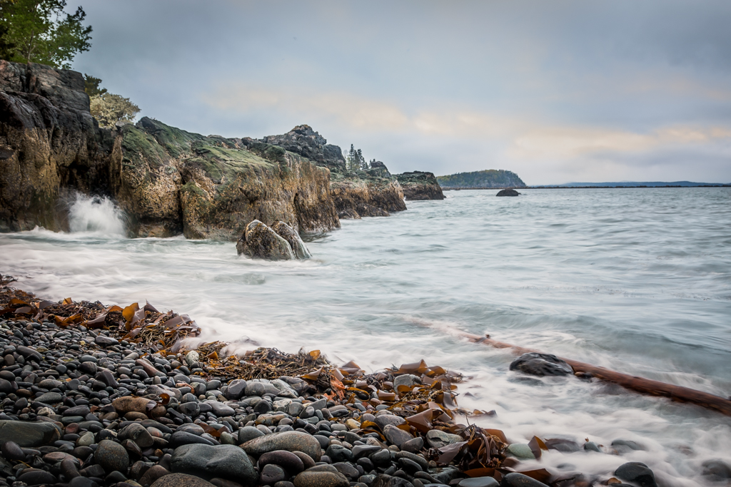 Nature In Class M By Cindy ONeil For Acadia JAN-2019.jpg